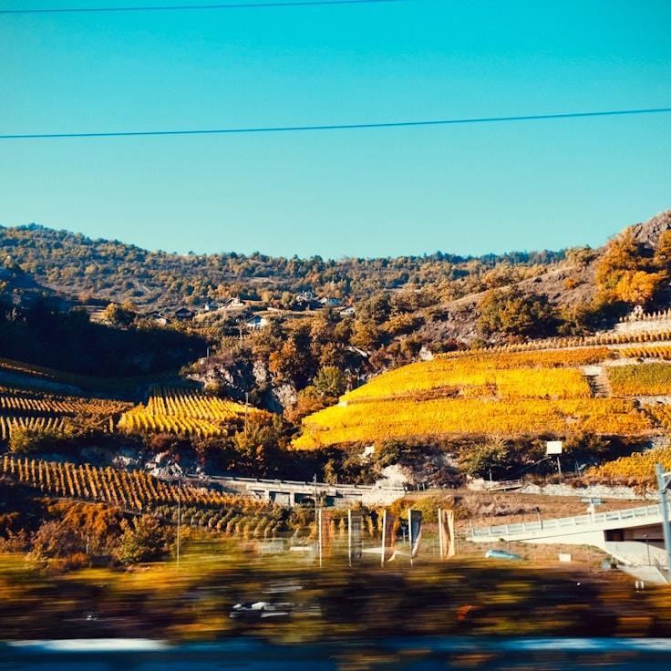 Entertainment zone at night in Canada